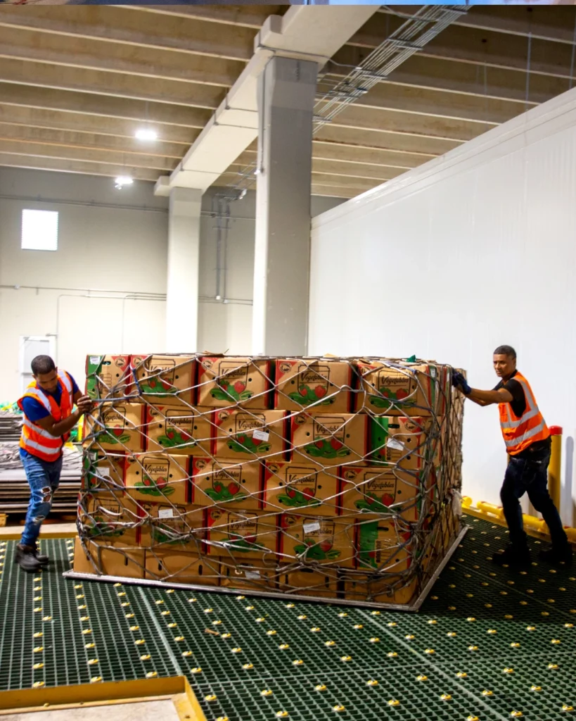 Hub Estratégico @ Punta Cana Free Trade Zone, República Dominicana